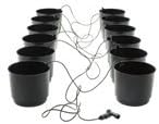 Eco Growing Systems, Eco 6 Pack Growing System