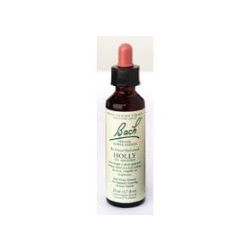 Bach Flower Essences Flower Essence Holly