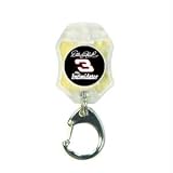 Photon X-Light Micro Keychain Light, Dale Earnhardt #3 The Intimidator