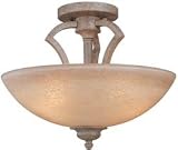 Ceiling Fixtures Dolan Designs 1614-55