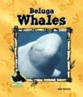 Beluga Whales (Animal Kingdom)
