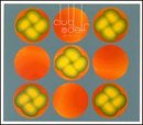 As Above: Live at the Lizard Lounge