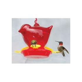 Window Red Bird Hummingbird Feeder