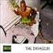 The Invasion