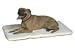 Bully Bed Dog Bed