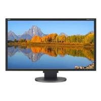 NEC 24-Inch LED-Backlit Desktop Speakers (EA243WM-BK)