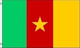 NEW 3x5 Cameroon National Flag 3'x5' World Cup Banner