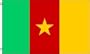 NEW 3x5 Cameroon National Flag 3'x5' World Cup Banner