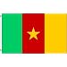 NEW 3x5 Cameroon National Flag 3'x5' World Cup Banner
