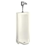 KOHLER K-6661-NA Undertone Undercounter Utility Sink
