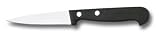 World Cuisine 4-Inch Paring Knife with Riveted ABS Handle