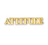 Attitude Pin - cutout