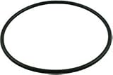 haywood pumps:Hayward Pool Chlorinator CL200 CL220 Cover O-Ring CLX200K