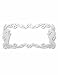 Cruiser Dragon License Plate Frame- Stainless Steel Image