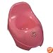 The Potty Patty Potty Chair