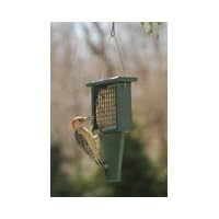Suet Feeder with Tail Prop by