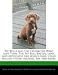 Pit Bulls and the Celebrities Who Love Them: The Pit Bull Breeds, Laws, and Advocates like Jessica Alba, Cesar Millan, Usher, Rachael Ray, and More