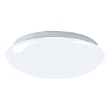 Buy American Fluorescent CMS2032ET Camden 1-32 Watt T9 Flush Mount Fixture, Shallow... by American Fluorescent