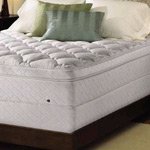 Sleep Number 5000 Pillowtop Mattress by Select Comfort Queen Size