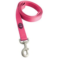 Dog Leash - 1 in. x 6 ft. - Raspberry