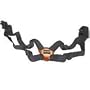 Zeiss Slide & Flex Bino Strap System, Holds Binoculars Secure, Black