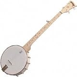 Deering Goodtime Banjo