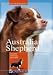 Australian Shepherd