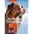 Australian Shepherd: Charakter - Erziehung - Gesundheit