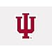 Wincraft NCAA Indiana University Perfect Cut Color Decal, 4