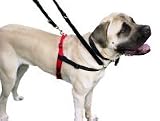 Halti Harness Medium (collies/spaniels/labs)