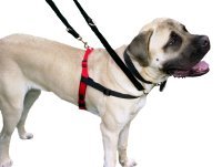 Halti Harness Medium