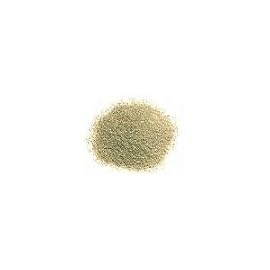 Red Hot Chilli People Celery Salt - 25g
