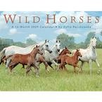 Wild Horses 2009 Deluxe Wall Calendar