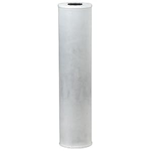 Pentek 155247, RFC20-BB Radial-Flow Granu