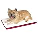 Kitchen & Housewares : Kennel Pad - 16 in. x 9 in. x 1 in.