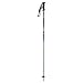 Alpina Excite Ski Poles