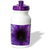 Rebecca Anne Grant Photography Nature Flowers - Purple Petunia - Water Bottles