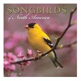 SongbirdsofNorthAmerica2009MiniWallCalendar