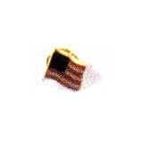 USA Pin 2