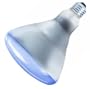 Philips 167155 - 120BR/AGRO Flood Plant Aquarium Terrarium Light Bulb
