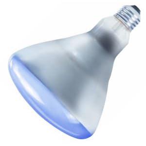 Philips 167155 120BR AGRO Flood Plant Aquarium Terrarium Light Bulb by 