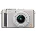 Panasonic DMC-LX3S 10.1MP Digital Camera with 2.5x Wide Angle MEGA Optical Image Stabilized Zoom (Silver)