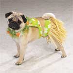 Casual Canine Hula Pup Costumes