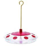 Hummingbird Feeder