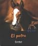 El potro (Quien eres tu? series)