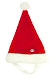 Santa Hat - Small