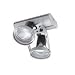 Jive 2 Light Flushmount Ceiling Light Par 30 Pla