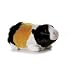 Plush Genny Guinea Pig Mini Flopsie 8"