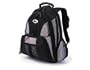 Sport Standard Computer Backpack- Platinum/Black