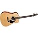 Seagull Maritime Series Dreadnought Element EQ Acoustic-Electric Guitar (Natural)